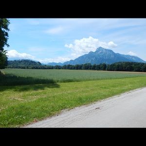 Meet your Posher, Molly